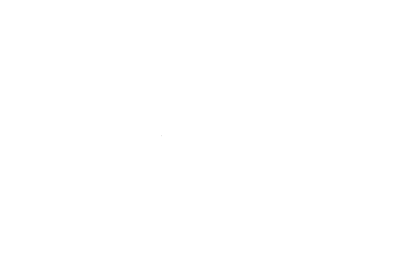 Slate Digital